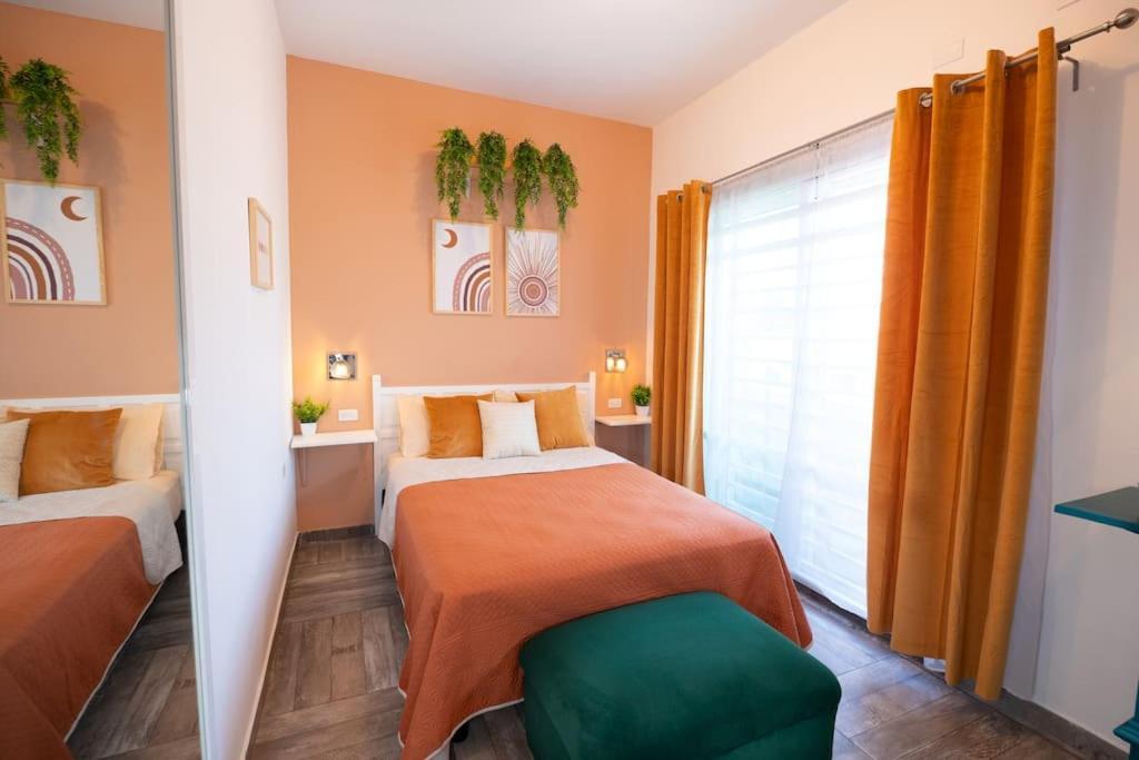 New Apt Super Cozy & Pet Friendly Close To Marina #3 La Paz Eksteriør bilde