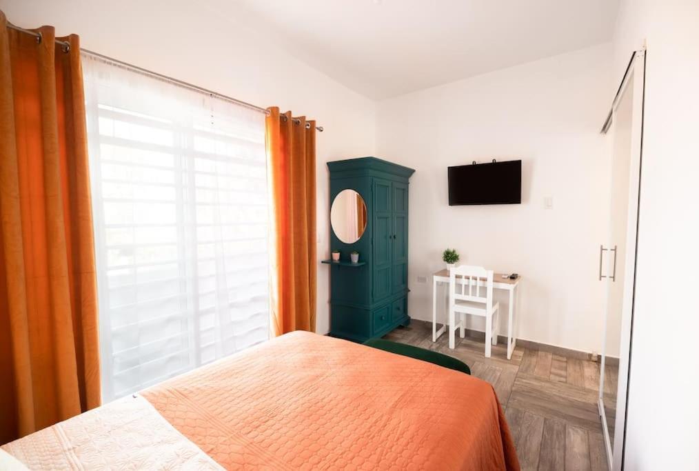 New Apt Super Cozy & Pet Friendly Close To Marina #3 La Paz Eksteriør bilde